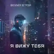 Постер книги Я вижу тебя