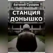 Постер книги Станция Донышко