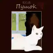 Постер книги Пушок