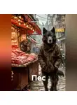 Ильгиз Гиматов - пес