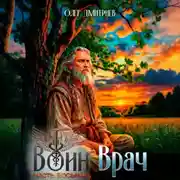 Постер книги Воин-Врач VIII