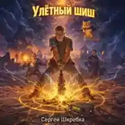 Постер книги Улётный Шиш