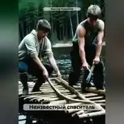 Постер книги Неизвестный спаситель