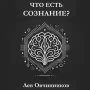 Постер книги Что есть сознание?