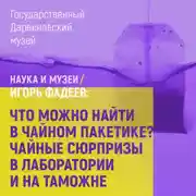 Постер книги Что можно найти в чайном пакетике? Чайные сюрпризы в лаборатории и на таможне