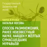 Постер книги Способ размножения, ранее неизвестный науке, найден у желтых сумасшедших муравьев!