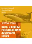 Ярослав Попов - Киты и свиньи родственники! Эволюция китов