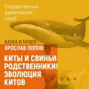 Постер книги Киты и свиньи родственники! Эволюция китов