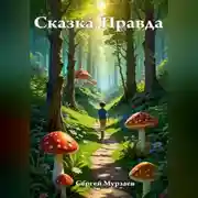 Постер книги Сказка-Правда