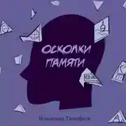 Постер книги Осколки памяти