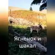 Постер книги Ягненок и шакал