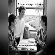 Постер книги Картофельный стройотряд