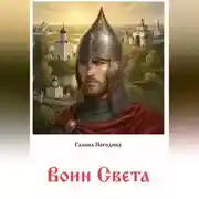 Постер книги Воин Света