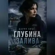 Постер книги Глубина Залива