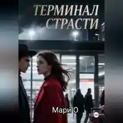 Постер книги Терминал страсти