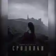 Постер книги Сродники