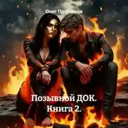 Постер книги Позывной ДОК. Книга 2