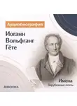 Искуственный интеллект - Иоганн Вольфганг Гёте. Аудиобиография
