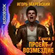 Постер книги Проект Возмездие. Аудио 9