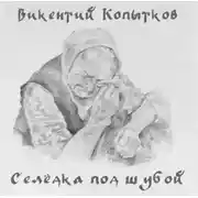 Постер книги Селедка под шубой