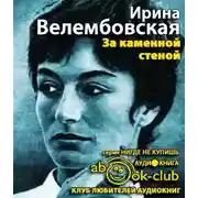 Постер книги За каменной стеной