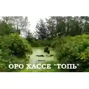 Постер книги Топь