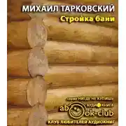 Постер книги Стройка бани