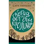 Постер книги Когда бог был кроликом