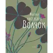 Постер книги Волчок