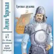 Постер книги Грозная дружина
