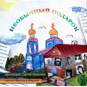 Постер книги Необычный подарок