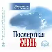 Постер книги Посмертная жизнь