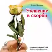 Постер книги Утешение в скорби