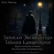 Постер книги Нерассказанные истории. Бостонский потрошитель