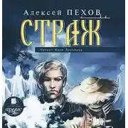 Постер книги Страж