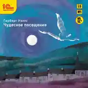 Постер книги Чудесное посещение
