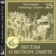 Постер книги Лекция 25. Книга Бытия. Шестоднев