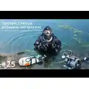 Постер книги Протей: слепой ребенок-экстрасенс