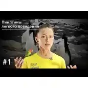 Постер книги Пингвины легкого поведения