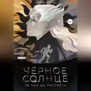 Постер книги Чёрное солнце. За час до рассвета