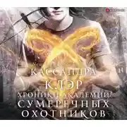 Постер книги Академия Сумеречных охотников. Хроники