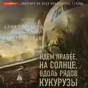 Постер книги Идем правее, на солнце, вдоль рядов кукурузы. История чудесного спасения глазами бортпроводника