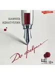 Шамиль Идиатуллин - До февраля