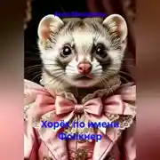 Постер книги Хорёк по имени Фолкнер