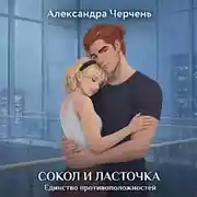 Постер книги Сокол и Ласточка. Единство противоположностей