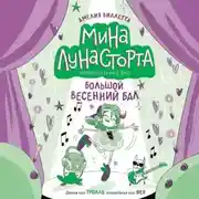 Постер книги Большой весенний бал
