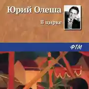 Постер книги В цирке