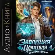 Постер книги Эволюция целителя 4