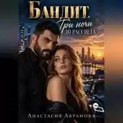 Постер книги Бандит. Три ночи до рассвета