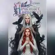 Постер книги Ночь ищет невесту